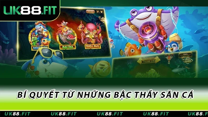 Bí quyết từ những bậc thầy săn cá