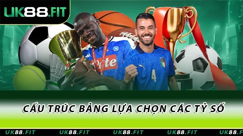 Cấu trúc bảng lựa chọn các tỷ số