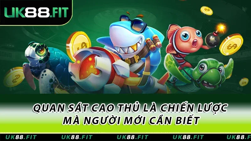 Quan sát cao thủ là chiến lược mà người mới cần biết