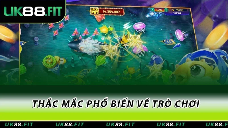Thắc mắc phổ biến về trò chơi Chúa tể đại dương