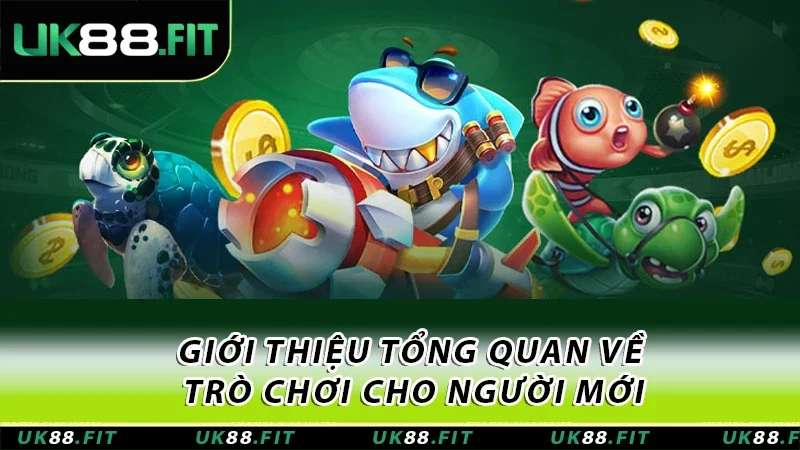 Giới thiệu tổng quan về trò chơi cho người mới