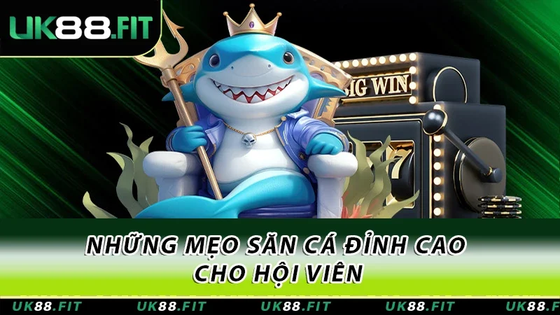 Những mẹo săn cá đỉnh cao cho hội viên
